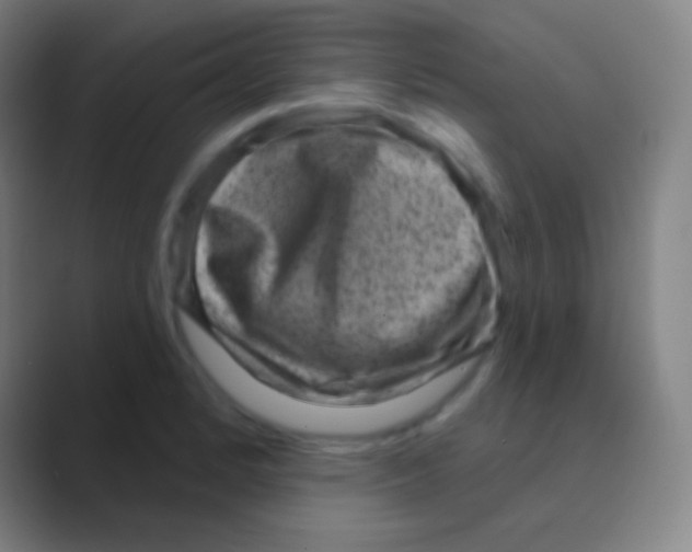 X0000088731184200706282118