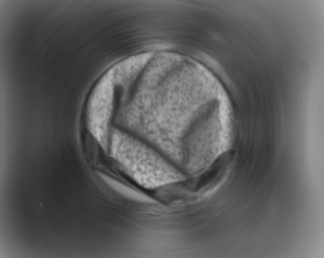 X0000088731186200706282118