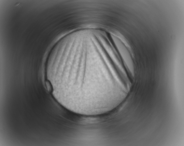 X0000088731187200706282118