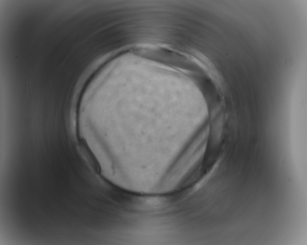 X0000088731188200706282118