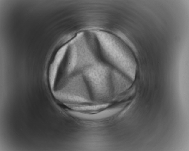 X0000088731189200706282118