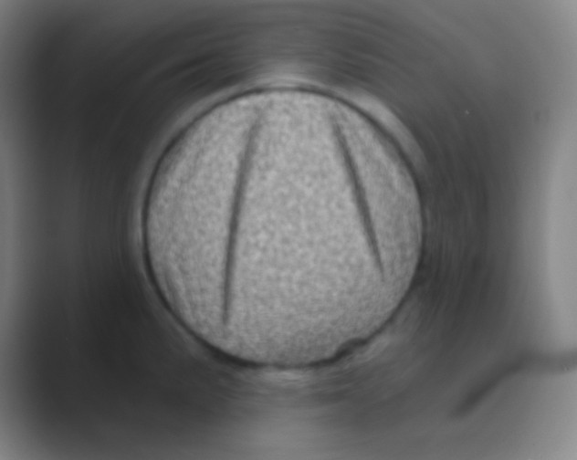 X0000088731191200706282118