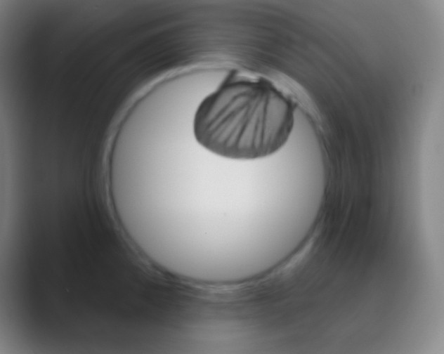 X0000088731192200706282118