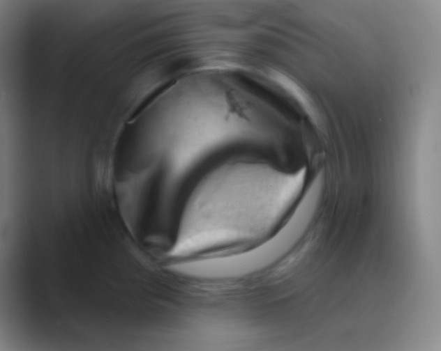 X0000088731193200706282118