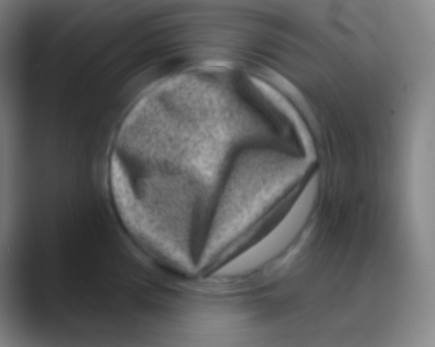 X0000088731194200706282118