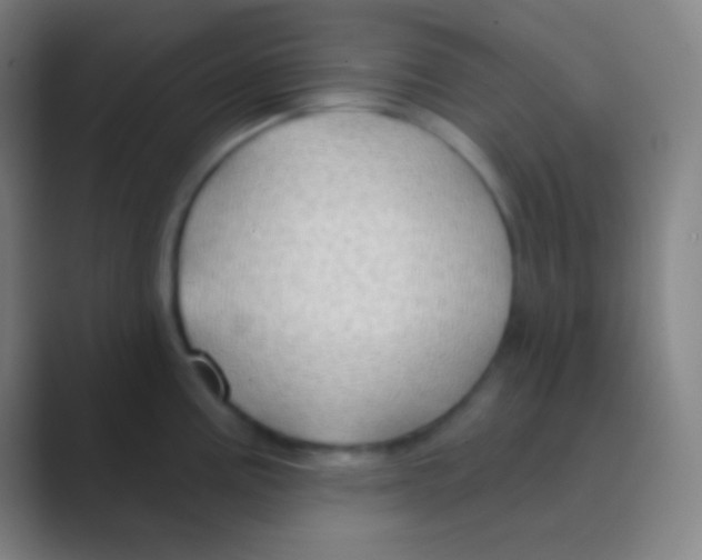 X0000088731195200706282118