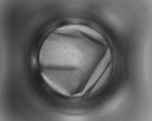 X0000088731198200706282118