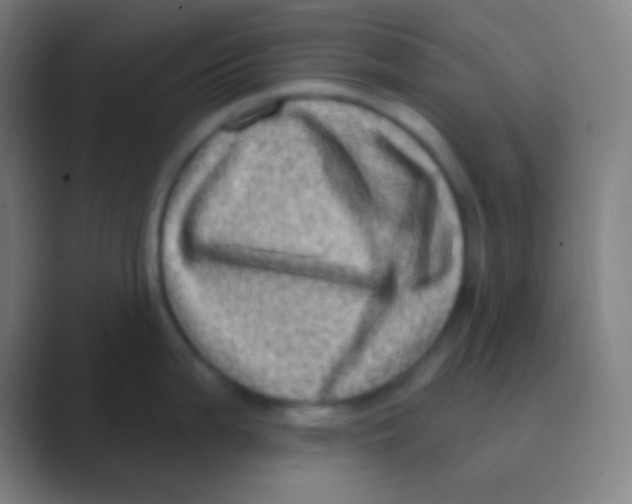 X0000088731199200706282118