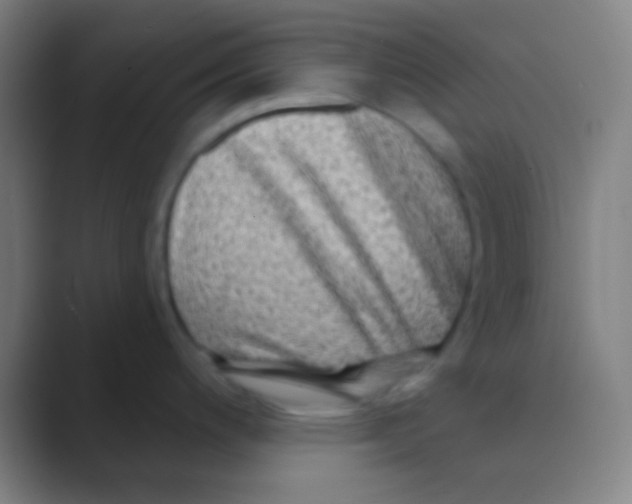 X0000088731200200706282117