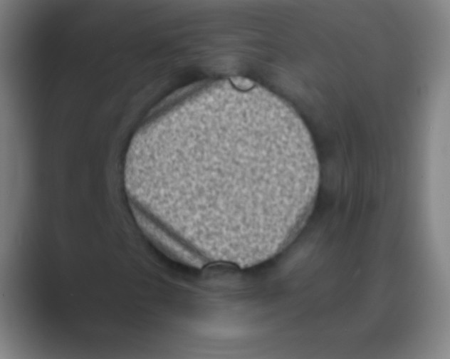 X0000088731201200706282117