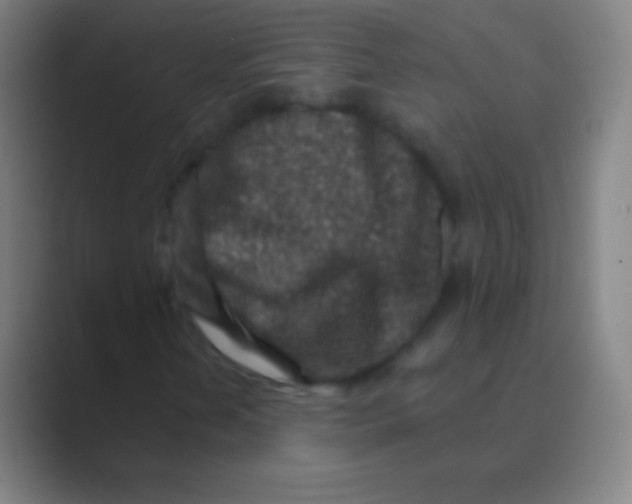 X0000088731202200706282117