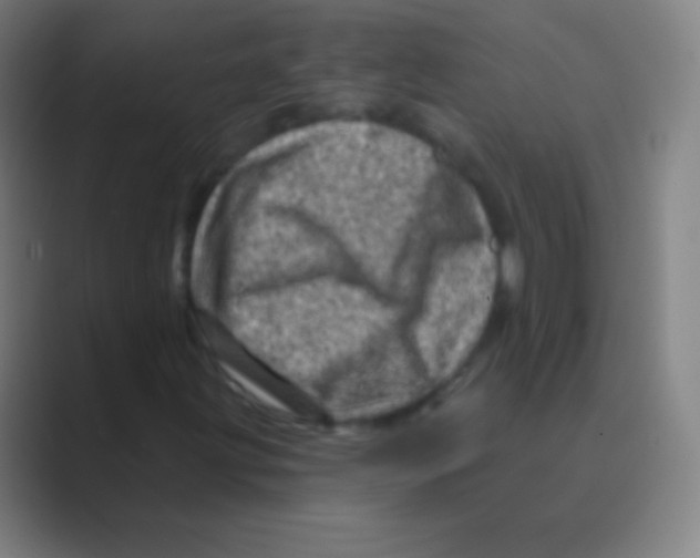 X0000088731203200706282117