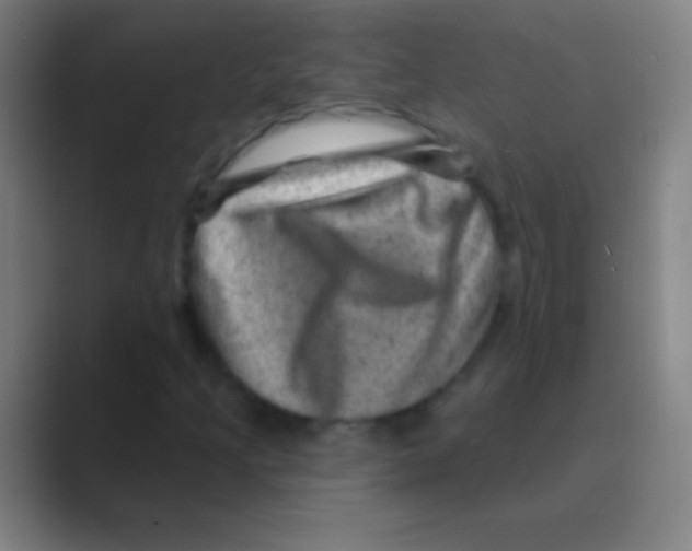 X0000088731205200706282117