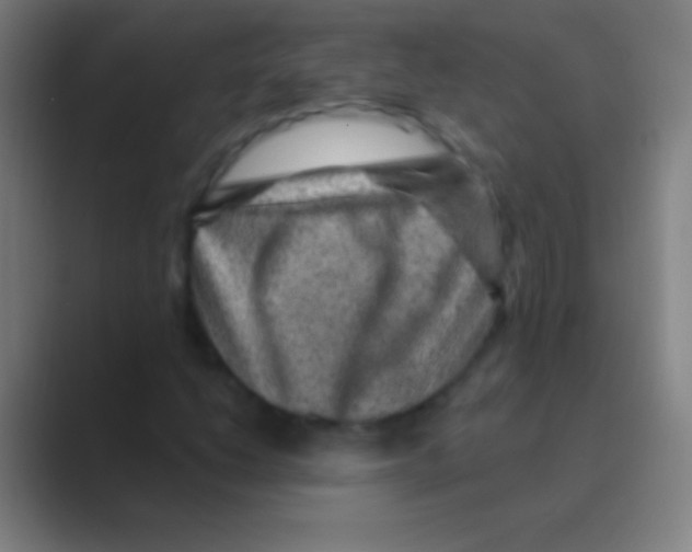 X0000088731206200706282117