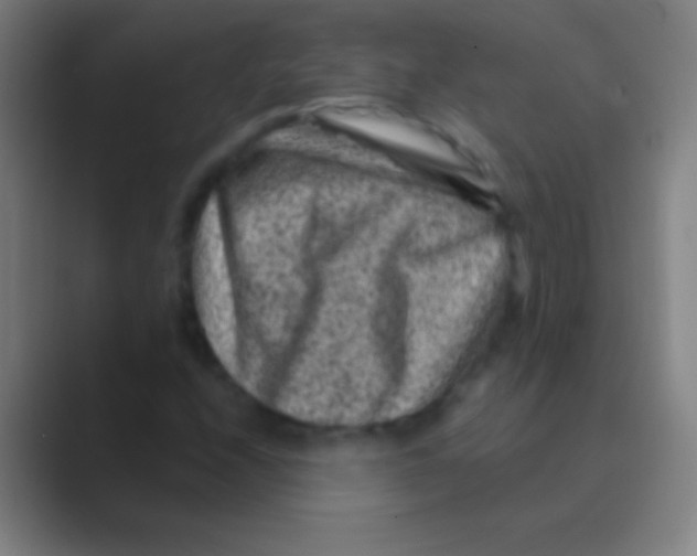 X0000088731208200706282117