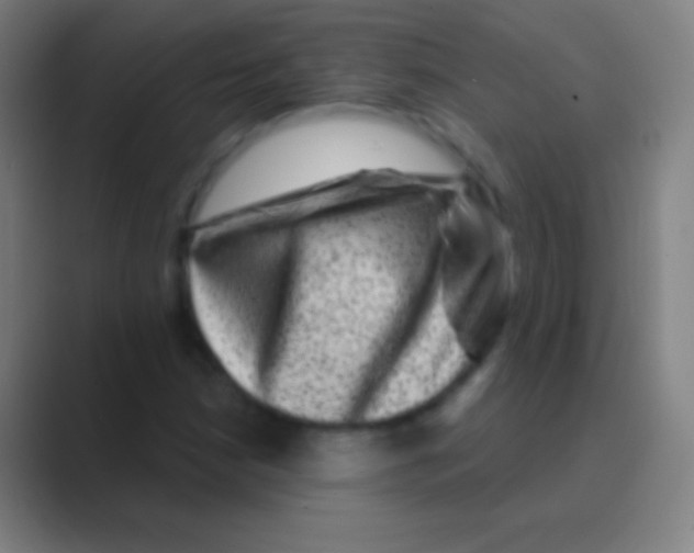 X0000088731210200706282117