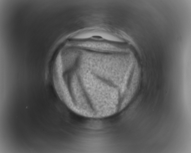 X0000088731215200706282117