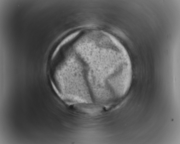 X0000088731216200706282117