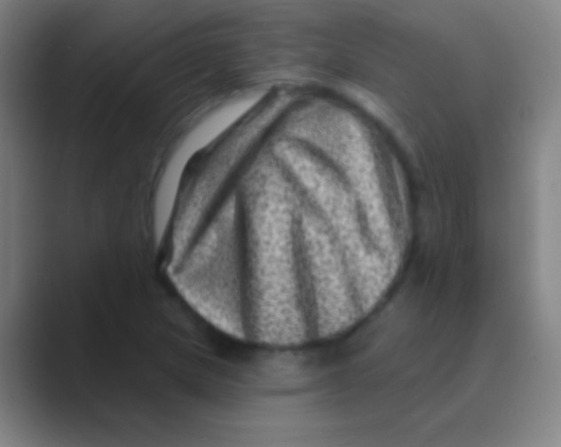 X0000088731217200706282117