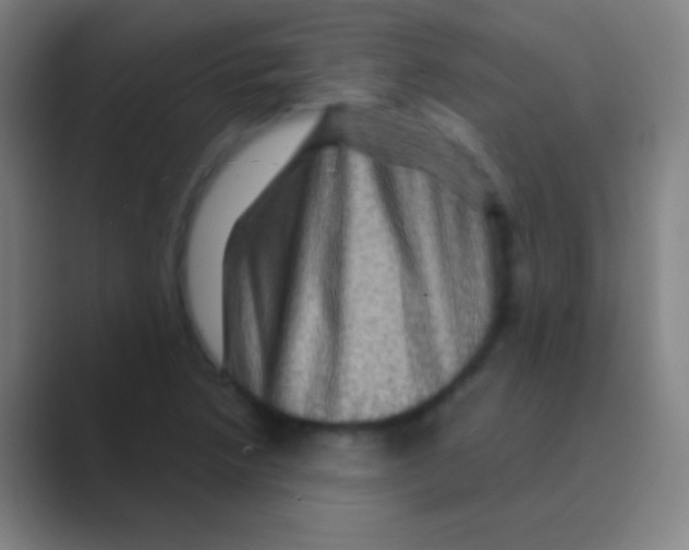 X0000088731218200706282117