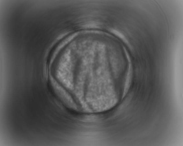 X0000088731219200706282117