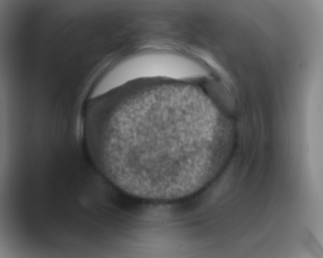 X0000088731221200706282117