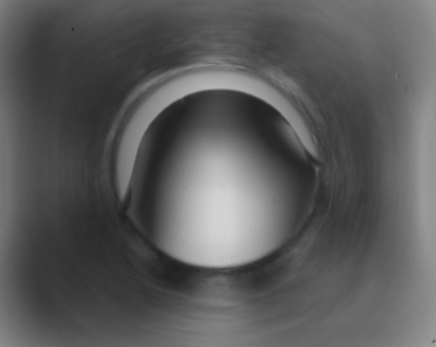 X0000088731222200706282117