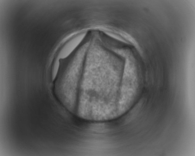 X0000088731223200706282117