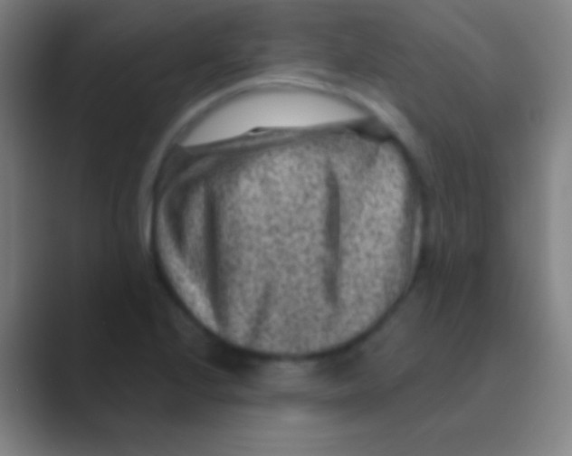 X0000088731224200706282117