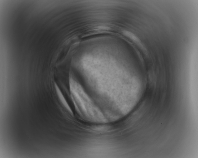 X0000088731225200706282117