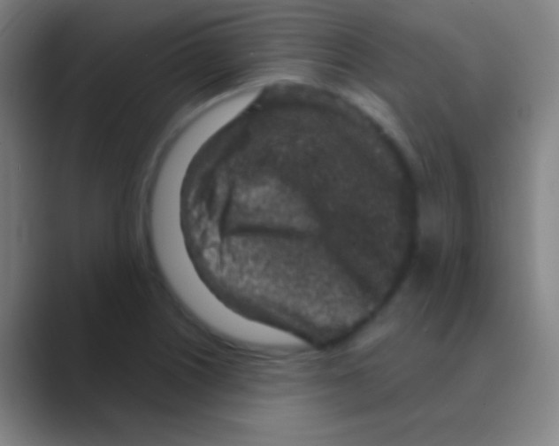 X0000088731226200706282117