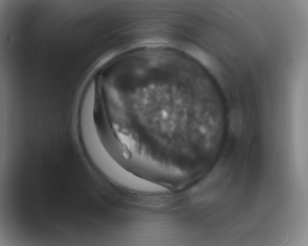 X0000088731229200706282117