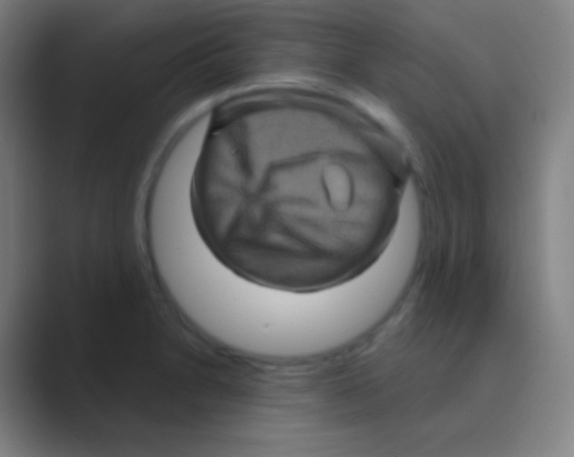 X0000088731230200706282117