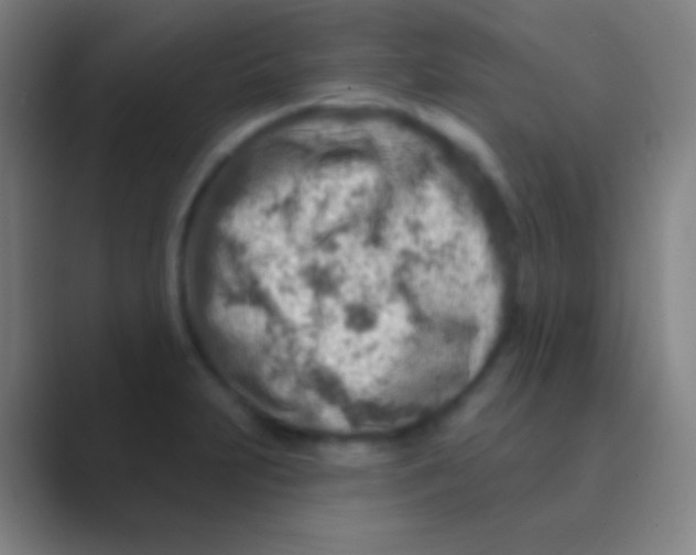 X0000088731231200706282117