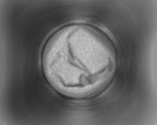 X0000088731232200706282117