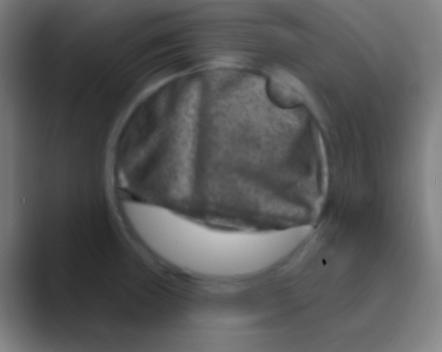 X0000088731235200706282117