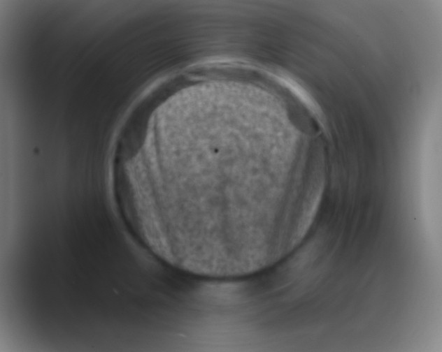 X0000088731237200706282117