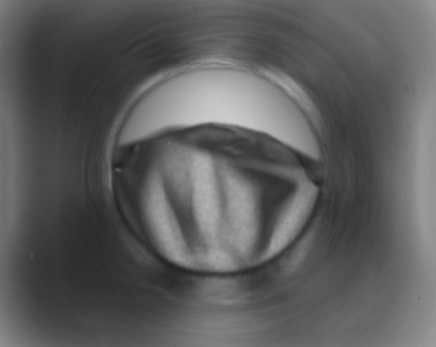 X0000088731238200706282117