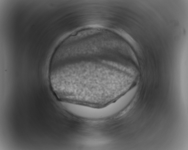 X0000088731240200706282117