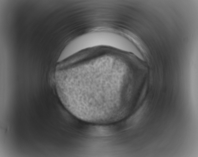 X0000088731241200706282117