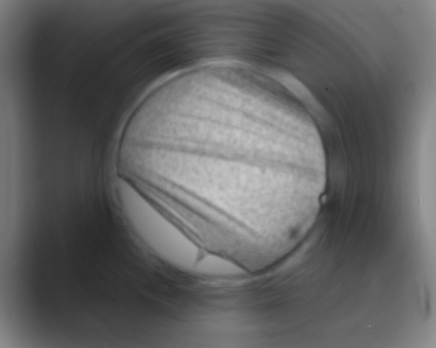 X0000088731244200706282117