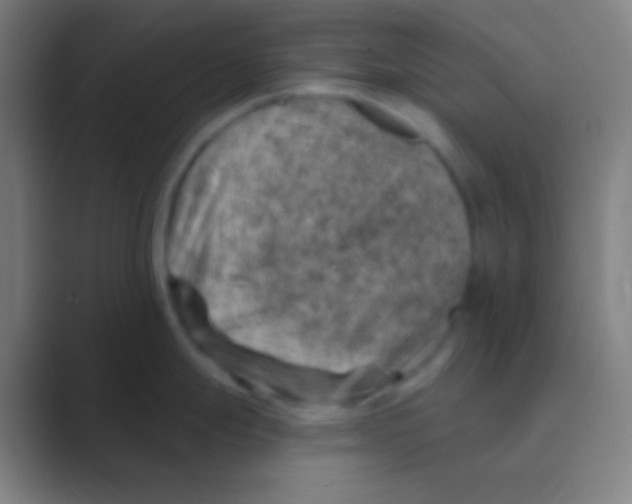 X0000088731247200706282117