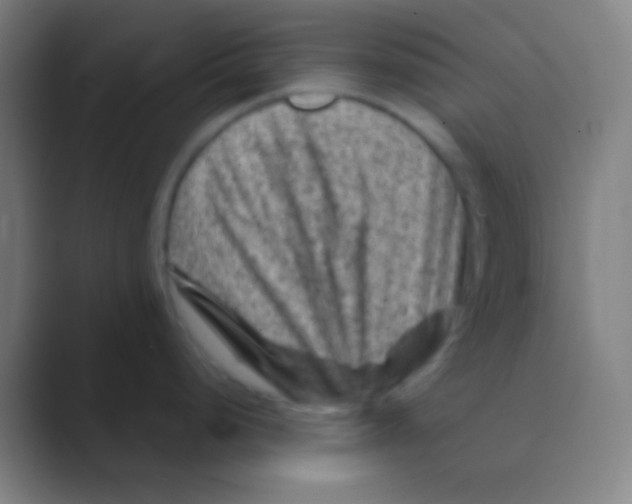 X0000088731248200706282117