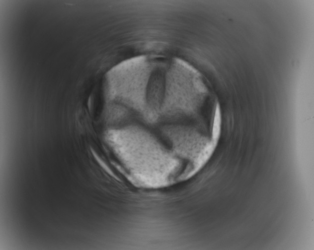 X0000088731250200706282117