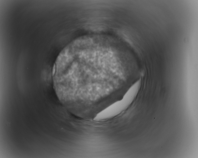 X0000088731251200706282117