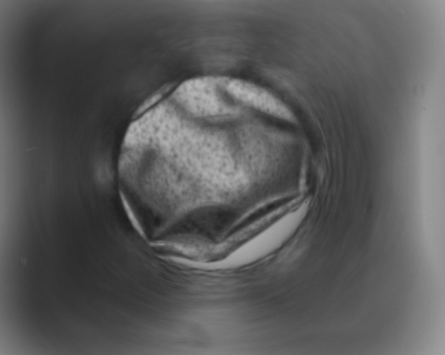 X0000088731252200706282117