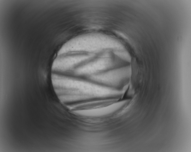 X0000088731257200706282117