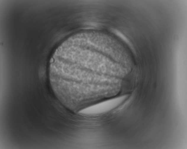 X0000088731259200706282117