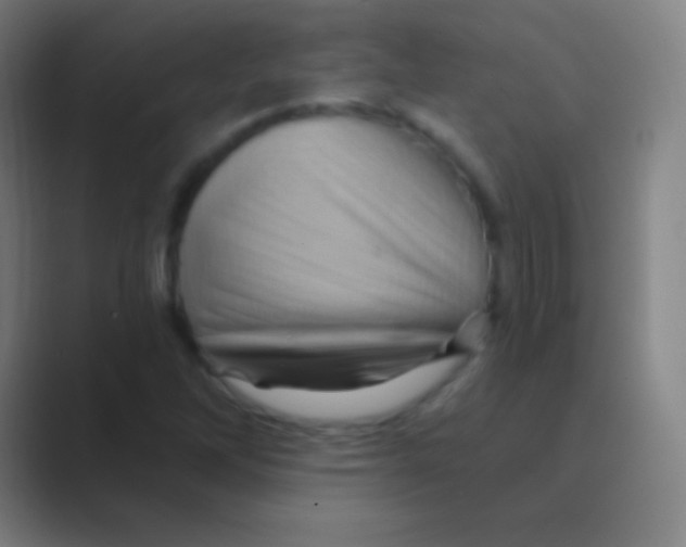 X0000088731262200706282117