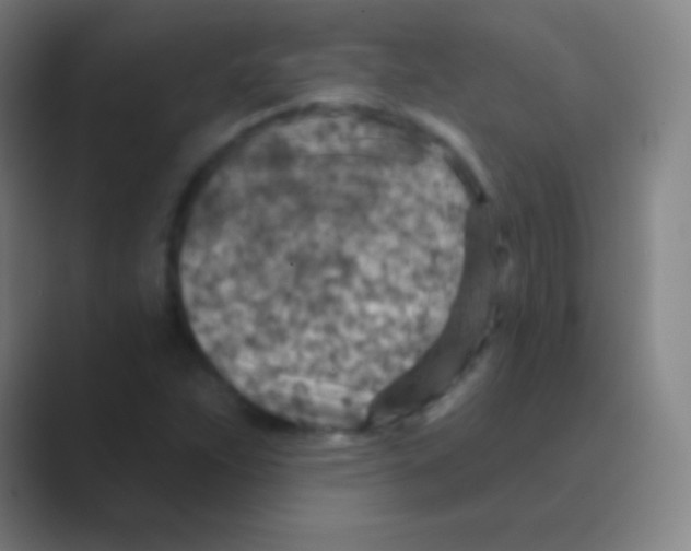 X0000088731263200706282117